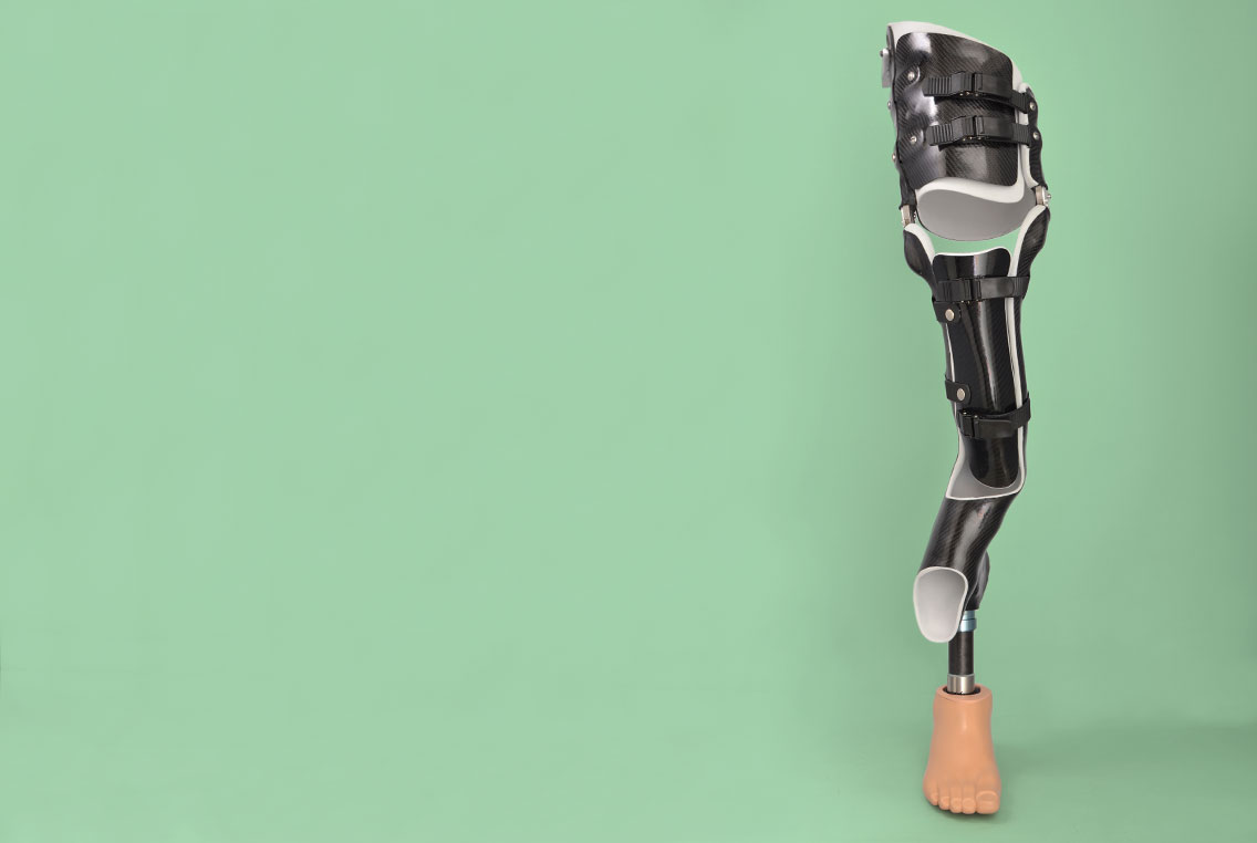 Orto-protesi